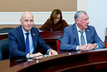 Парламентский час