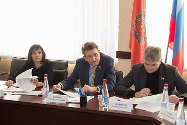 Заседание профильного комитета