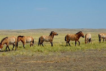 Заботиться о природных богатствах нашего края