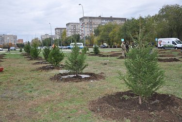 На субботнике в сквере имени Александра Прохоренко