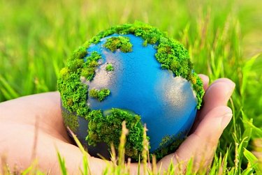 5 июня – День эколога, Всемирный день окружающей среды