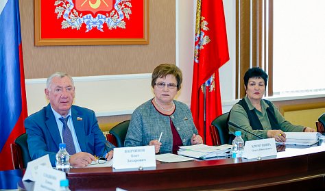 Ольга Хромушина: «Цель законопроекта – улучшение качества жизни многодетных семей»