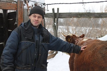 Новогодний подарок умеет мычать