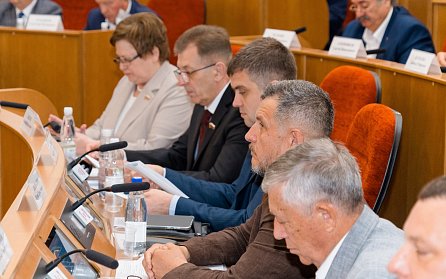 Депутаты внесли изменения в законы о социальной поддержке