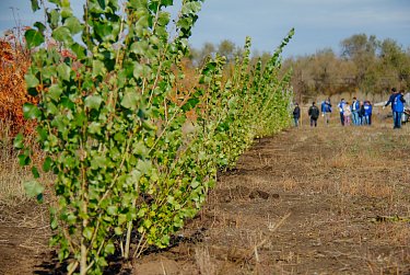 «Зеленые легкие» областного центра
