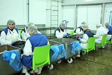 Ассоциация законодателей ПФО