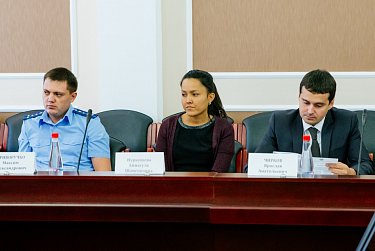 На заседании комитета по социальной и демографической политике 