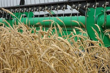 Александр Жарков о поддержке сельхозтоваропроизводителей