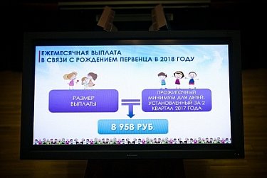 Олег Димов принял участие в заседании Правительства области