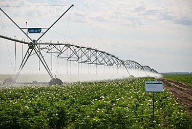 Развитие мелиорации – задача государственной важности