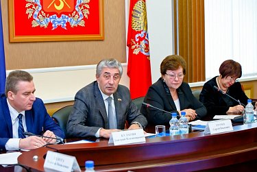 Главная тема консультативного совета – закон «о тишине»