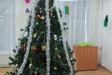 Новый год приходит с депутатом