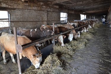 Александр Жарков работал в округе