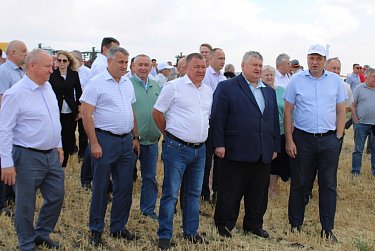 Уборка урожая, заготовка кормов и сев озимых 