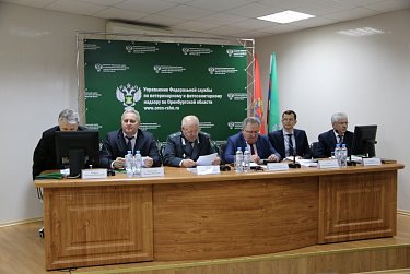 В Россельхознадзоре подвели итоги работы за минувший год