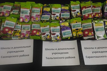 В центре социальной поддержки Андрея Аникеева стартовала акция «Оренбуржье, расцветай!»