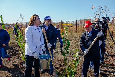 «Зеленые легкие» областного центра