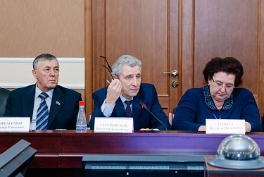 На заседании Консультативного совета