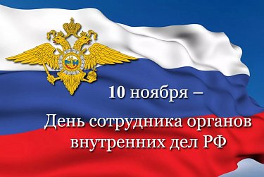 С Днем сотрудника  органов внутренних дел Российской Федерации!