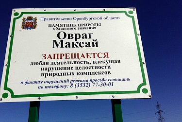 Молодежный «десант» провел экологический субботник