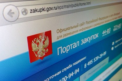 Андрей Аникеев: «44-ФЗ о госзакупках требует доработки»