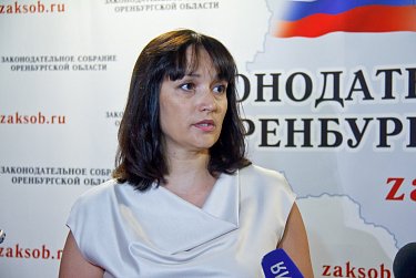 О механизме защиты обманутых дольщиков 