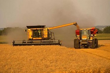 С Днем работника сельского хозяйства и перерабатывающей промышленности!