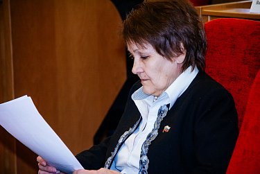 На Совете представителей местных Советов 