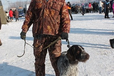 Бузулукский район собрал любителей охоты