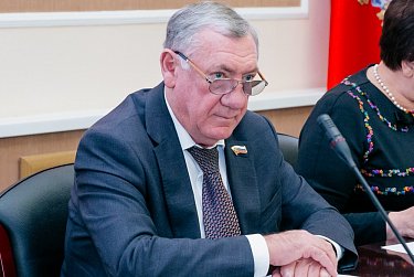 На заседании комитета по социальной и демографической политике 