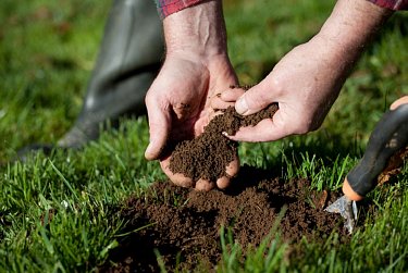 Восполнить плодородие почв поможет закон