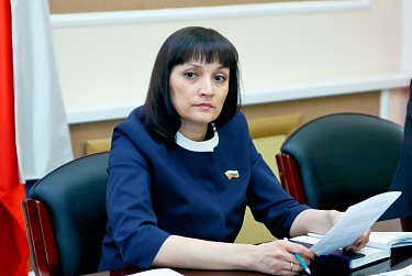 На заседании рабочей группы по вопросам инвестиционной деятельности