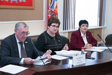 На заседании комитета по социальной и демографической политике 