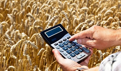 Расходы на сельское хозяйство не уменьшатся