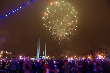 Зажглись огни новогодней елки