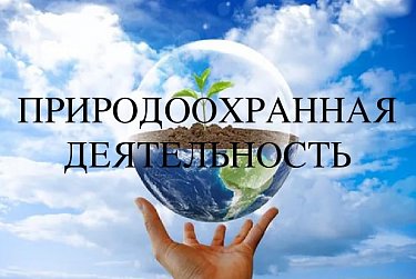 Обсуждена правоприменительная практика регионального управления Росприроднадзора