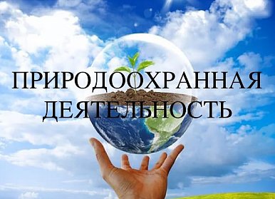 Обсуждена правоприменительная практика регионального управления Росприроднадзора