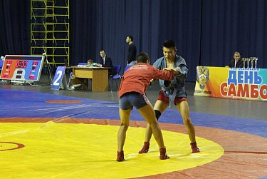 Всероссийский день самбо отметили первенством области