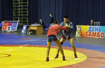 Всероссийский день самбо отметили первенством области
