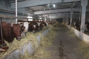 Александр Жарков посетил обладателей грантов в сельскохозяйственном производстве