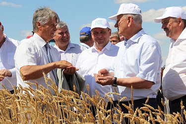 Александр Жарков: «Урожай хороший, задача – собрать его без потерь»