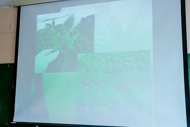 Бизнес-планы юных аграриев получили высокую оценку