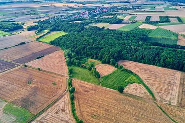Чтобы земли не пустовали