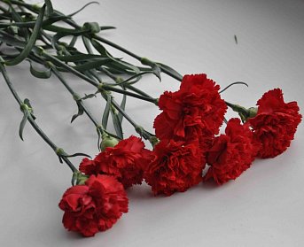 Депутаты выражают соболезнования
