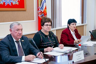 На заседании комитета по социальной и демографической политике 