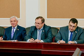 Парламент в деталях