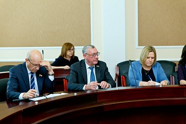 Парламент в деталях