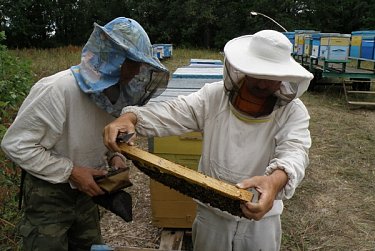 Александр Жарков о перспективах пчеловодства