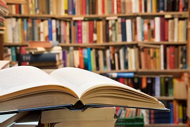 Сергей Грачев поздравил работников библиотек