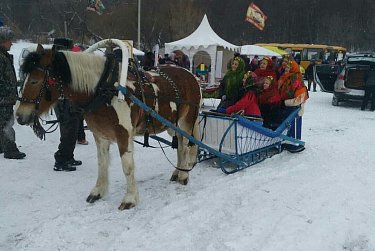 Любители охоты состязались в мастерстве  